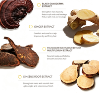 Dr Dumei Black Ganoderma He Shou Wu Shampoo Penguat Akar Anti Ketombe Pengontrol Minyak Memperbaiki Akar Rambut Meningkatkan Warna Gelap