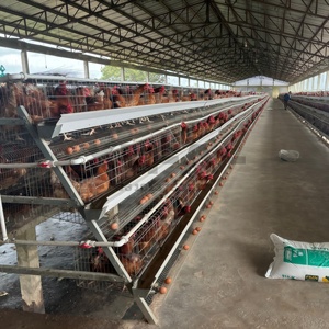 Nouvelle cage à poules automatique en acier galvanisé et alliage d'aluminium, 3 niveaux, 4 portes, poulailler pour 96 poules pondeuses - Product Image 1