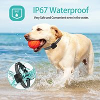 Neues Vollautomatisches Anti-Bell-Halsband mit Berührungsaktivierter Vibration und Summer, Wasserdicht, Ultimative Bellkontrolle für Hunde