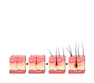 Wholesale Herbal <strong>Chebe</strong> <strong>Hair</strong> <strong>Products</strong> for <strong>Hair</strong> Loss Prevention Nourishing <strong>Hair</strong> Butter Powder and Growth Oil for Adults - Product Image 6