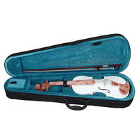 Beginner's 4/4 Violin Complete Set Varnished Finish Brazil Wood Bow ABS Accessories Violin Case Student Practice Linden Wood