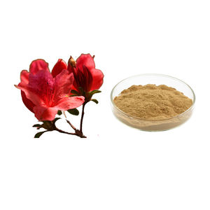 Extracto Natural de <span class=keywords><strong>Rododendro</strong></span> Simsii, Extracto de <span class=keywords><strong>Rododendro</strong></span> Simsii Planch, Extracto de <span class=keywords><strong>Rododendro</strong></span> Dauricum L. - Product Image 1