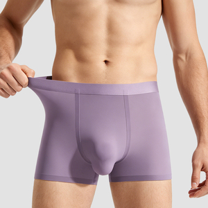 Boxers pour hommes en nylon ultra fin sans couture, double poche séparée, respirants, ceinture élastique, ensemble de lingerie pour hommes grande taille pour <span class=keywords><strong>l</strong></span>'été - Product Image 1