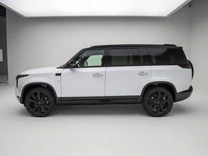 ROX Adamas 2026, SUV de luxe exécutif 6 places - SUV audacieux pour les professionnels, espace arrière spacieux, intérieur haut de gamme, longue autonomie, offre spéciale - Product Image 4