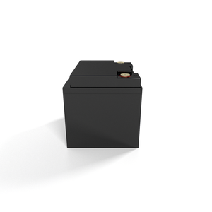 Высокое качество 50ah 40ah 12 В 8ah Lifepo4 батарея литий-железо-фосфатная батарея для холодной погоды Lifepo4 литиевая батарея для хранения - Product Image 3