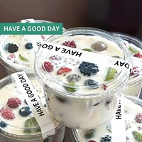 Ensemble de bols à salade en plastique PET de 8/12/14/16/24/32 oz, jetables, pour desserts, puddings, desserts à emporter, bols à açaï