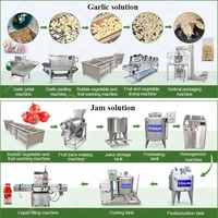 Doorlopende Auto Grote Industrie Palmfruit Groenteproces Watermeloen Aardbei Schone Wasmachine Machine
