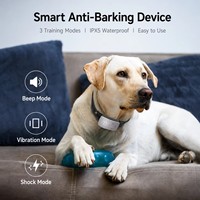 Collier de dressage pour chien rechargeable, double détection, faible risque d'erreur, utilisation facile, certifié FCC et RoHS, dispositif anti-aboiement