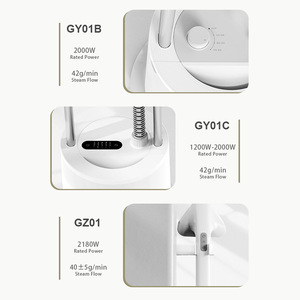 Huaguang Vertical Garment <b>Steamer</b> Dual Use Flat Hanging Adjustable Angle High Power Steam Iron 0.8L Capacity Electric - Product Image 4
