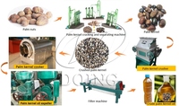 Presse à huile de palmiste à petite échelle 500 kg/h avec moteur et pompe - pour l'extraction et les opérations d'usine de mouture