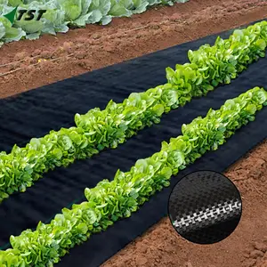 Agricultural herbicidas mat heavy duty weed controle tecido pesados poliéster malha tecido atacado hot-selling ervas daninhas esteiras