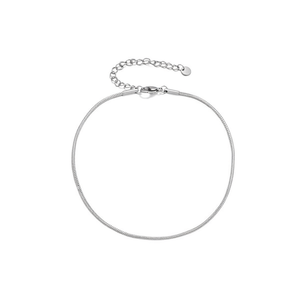 Amy Amy Fashion <b>Anklet</b> Stainless Steel <b>Silver</b> Plated Classic Women's Gift Jewelry T2036 - Product Image 4