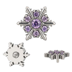 Snowflake Earring Titanium CNC Set CZ Snow 16G Labret roscado internamente - Product Image 5