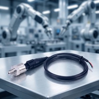 Sensor Tekanan Udara Minyak Gas Cair Diesel 60MPa 4-20mA 0-5V 1-5V 0.5-4.5V IIC RS485 Keramik Pemancar Tekanan Kompresor Udara