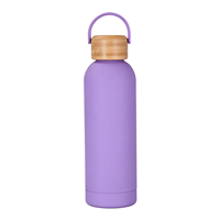 Bouteille de sport à double paroi grande capacité avec couvercle, en acier inoxydable 304, gourde réutilisable