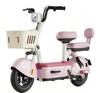 Trottinette Électrique et Vélo – Vente en Gros Usine – 350W/500W 48V 12AH – 2 Roues – Pneu 14 pouces pour Adulte