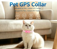 Collier GPS pour animaux de compagnie, mini localisateur GPS pour chien et chat, anti-perte, étanche IP67, double système pour Android et iOS