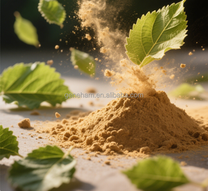 2025 meilleur vendeur UE <span class=keywords><strong>roman</strong></span> alimentaire conforme 1-DNJ 10% <span class=keywords><strong>extrait</strong></span> <span class=keywords><strong>de</strong></span> feuille <span class=keywords><strong>de</strong></span> mûrier <span class=keywords><strong>de</strong></span> qualité alimentaire poudre bouteille tambour peut meilleur vendeur 2025 - Product Image 4