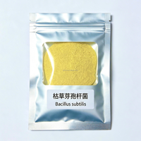 Bacillus Subtilis 100 milliards UFC/g, additif alimentaire probiotique à action rapide et réponse rapide pour un effet rapide sur l'alimentation quotidienne du bétail et de la volaille