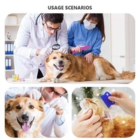 Kit de toilettage professionnel pour animaux de compagnie en acier inoxydable à dents arrondies, anti-taches et démêlant, 6 pièces, peigne anti-puces et poux pour chats et chiens