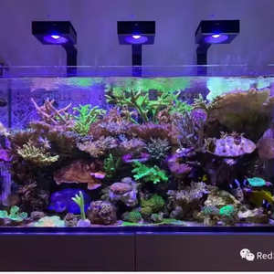 Lumière LED pour <span class=keywords><strong>aquarium</strong></span> marin d'eau salée, série RedSea Reef LED G2, spectre complet, programmable par application WiFi, intelligente, pour la croissance des coraux - Product Image 3