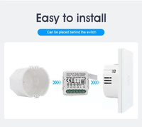 TYSH 1/2/3/4 Gang Tuya Wifi Zigbee Interrupteur Intelligent Lumière Sans Fil Télécommande Disjoncteurs Module Relais Domotique Commande Vocale Alexa