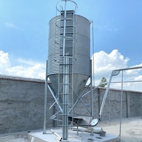 Fornitura Professionale di Silos in Acciaio Zincato per Mangimifici con Grande Capacità di Stoccaggio