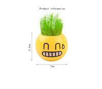 Plante en pot DIY avec poupée en herbe visage souriant, décoration artisanale pour micro-paysage, plante d'intérieur facile d'entretien