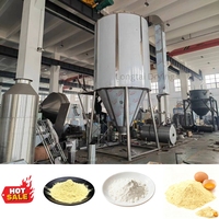 Automatische RVS LPG Spuitdroogmachine 500 kg/u Grote Capaciteit PLC Besturing voor Fruit Sap Poeder Verwerkingslijn