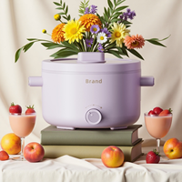 Mini multi-cuiseur électrique portable OEM Pot mi-haut de gamme sans BPA de qualité alimentaire