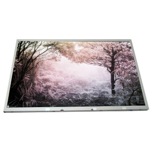 Écran LCD de haute qualité LM185WH1-TLH3 de 18,5 pouces 1366*768 16,7M - Product Image 1