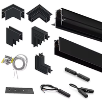 Rail magnétique PNY pour éclairage LED blanc/noir 48V R90, mini-système ultra-plat à aspiration, éclairage sur rail magnétique encastré ou en saillie