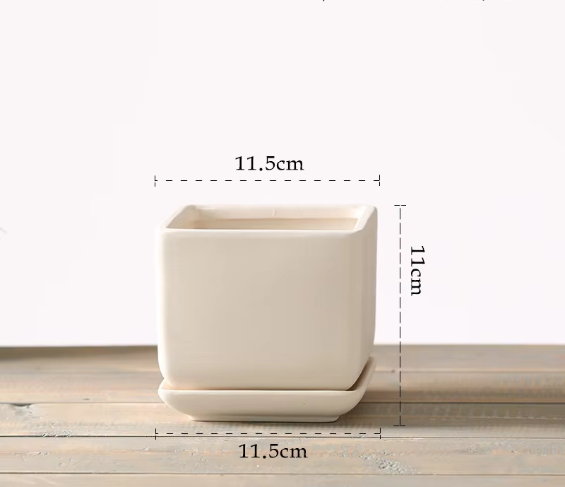 square small size 11.5cm (with tray