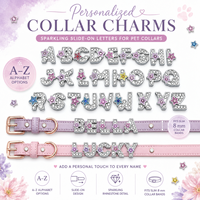 Breloques lettres coulissantes 8MM pour la fabrication de bijoux, bracelets, colliers pour animaux de compagnie, accessoires DIY, cadeau de fête, mariage, mignon, unisexe