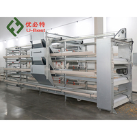 Vente Chaude : Mangeoire Automatique pour Poulets, Équipement d'Élevage Avicole, Cage à Batterie pour Poulets de Chair (10 000 Poulets), Haute Qualité