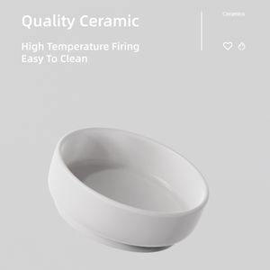 Cuencos elevados de cerámica para comida y agua para perros y gatos, protector de cuello de pie alto, lavabo para gatos, juego de cuencos elevados dobles antideslizantes - Product Image 4
