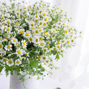 Bouquet de marguerites artificielles camomille style papillon West Lake 40cm blanc, style forêt simple, pour mariage et décoration intérieure - Product Image 4