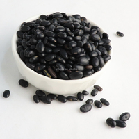 Vente en gros de graines de soja noires de 6,5 mm, de graines de tortue noires et de haricots noirs secs (grands ou petits)