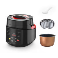 Cuisinière à riz électrique portable 2L en plastique, double usage voiture et maison, 12V/24V/220V pour voiture, camion, camping-car, voyage, camping
