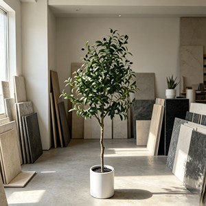Arbre d'olivier artificiel réaliste en oxyde de magnésium blanc, plante en pot simulée pour la décoration intérieure - Product Image 5