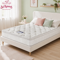 Matelas en mousse moderne et confortable avec surmatelas Euro, compressé sous vide, et soutien à ressorts ensachés indépendants pour chambre à coucher