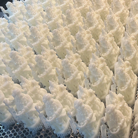 Conception de modèle SLA SLS FDM personnalisé Moule en silicone formant une résine photosensible Prototype rapide en plastique nylon Service d'impression 3D