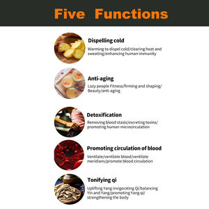 Oem Odm Gezondheidszorg Pemftherapie Terahertz Heat Cell Healing Fysiotherapie Terahertz Foot Massager Spa Body Detox Apparaat - Product Image 5