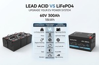 Paket Baterai Lithium LiFePO4 Kapasitas Tinggi 60V 300Ah untuk Kendaraan Listrik, Golf Cart, Kendaraan Utilitas, OEM, ODM