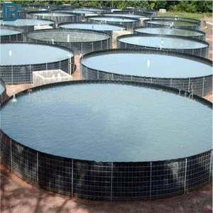 HdpeGeosynthetic Material For Fishpond Biogas Digester Impervious Lake Geomembrane