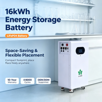 Batería Solar LiFePO4 de 51.2V 16kWh Montada en Pared, 314Ah 10KW, Almacenamiento de Energía Doméstica con Monitoreo CAN RS485 Bluetooth WiFi