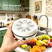 Hydroxyl-elektrolysegenerator voor het reinigen en steriliseren van vis, vlees, fruit en groenten; fruit- en groentewasmachines.