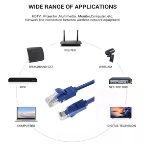 Ethernet <strong>Internet</strong> LAN Network UTP FTP SFTP RJ45 4P 26AWG 28AWG Patch Cord 305M <strong>Long</strong> Cat6 <strong>Cable</strong> Communication <strong>Cables</strong> - Product Image 4
