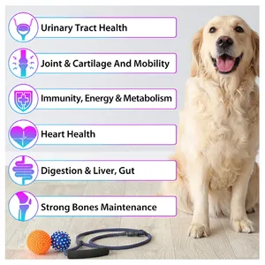 Private Label 15-in-1 Formula Pet Snacks Pet Supplement Dog Multivitamin Pet Vitamins