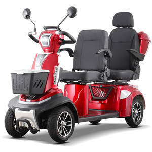 สกู๊ตเตอร์ไฟฟ้า EU Spirite-L3 1000W 4 ล้อ สำหรับผู้ใหญ่ สองที่นั่ง สกู๊ตเตอร์เคลื่อนที่สำหรับผู้สูงอายุ พร้อมการรับรองสำหรับการใช้งานบนถนน - Product Image 3